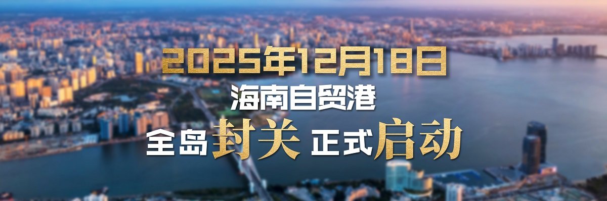 11月20日